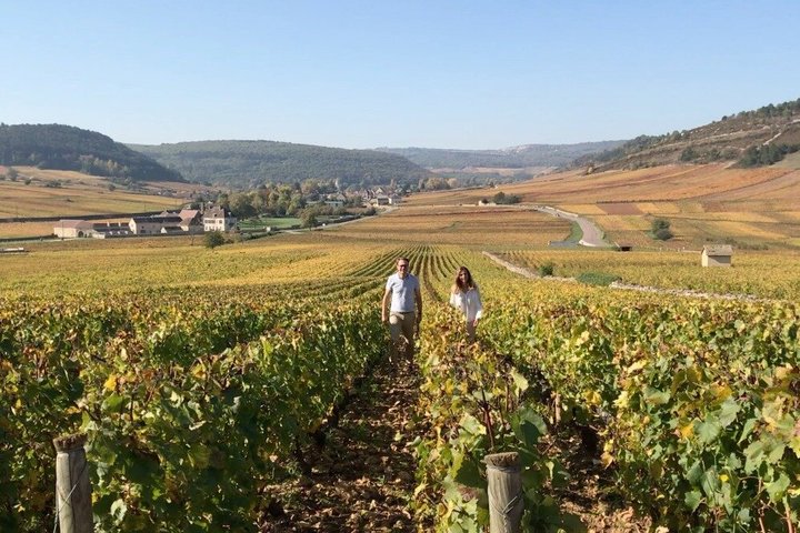 From Dijon Afternoon Côte de Nuits and Tasting