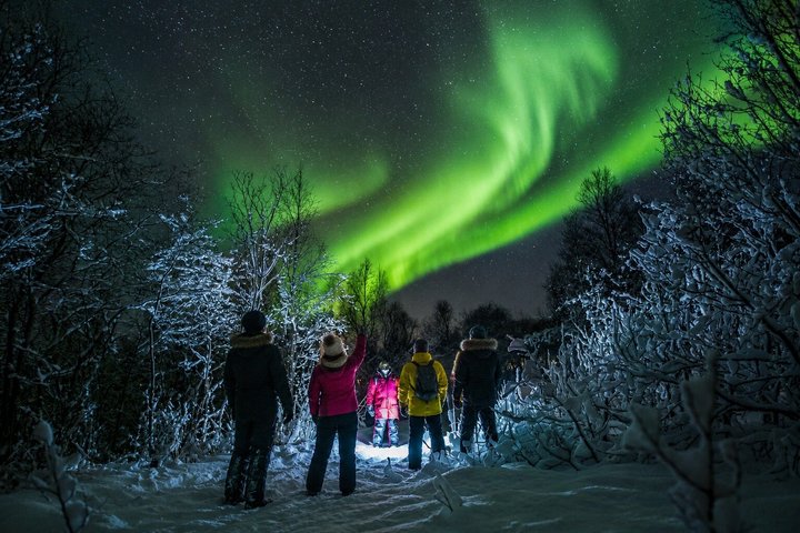 Tromsø: Chasing Northern Lights – We Go Where The Lights Appear