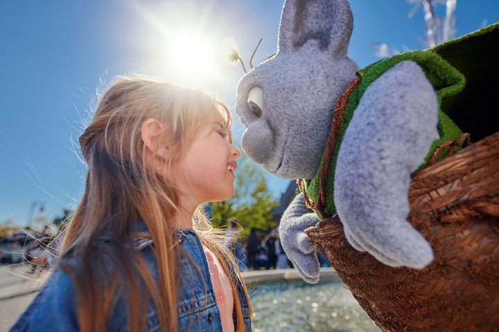 Disneyland® Paris 1 Day Ticket with Transport from Paris