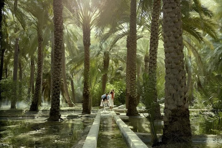 Private Al Ain Tour From Dubai With English Speaking Driver