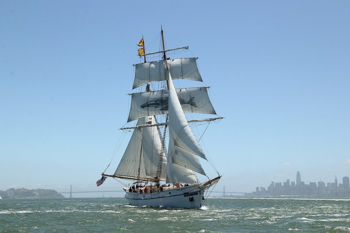 Sunset Sail on the Tall Ship Matthew Turner in San Francisco Bay