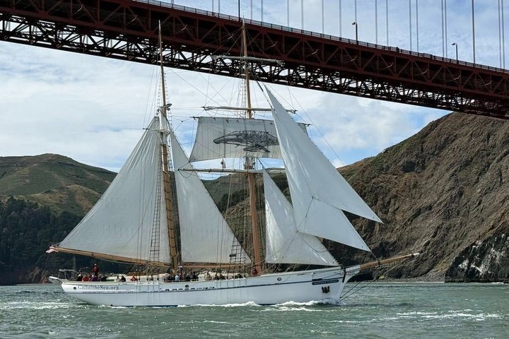 Sunset Sail on the Tall Ship Matthew Turner in San Francisco Bay