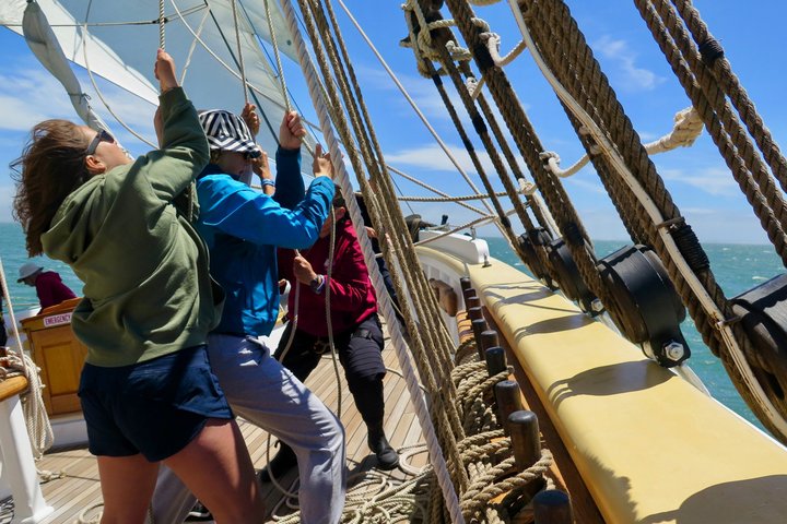 Sunset Sail on the Tall Ship Matthew Turner in San Francisco Bay
