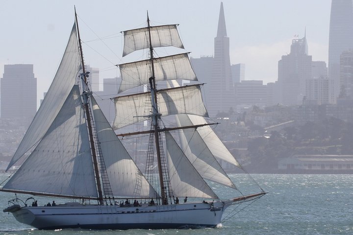 Sunset Sail on the Tall Ship Matthew Turner in San Francisco Bay