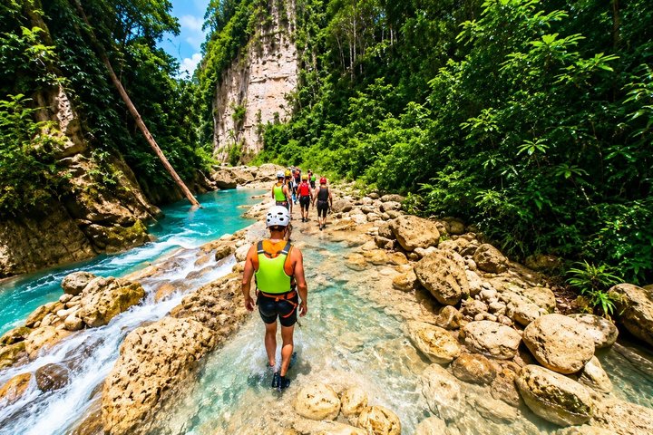 Cebu: Oslob Whale Shark Swimming & Kawasan Falls Canyoneering