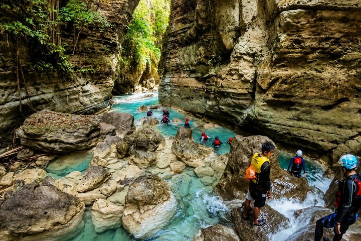 Cebu: Oslob Whale Shark Swimming & Kawasan Falls Canyoneering