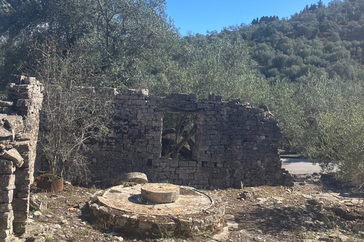 Olive Oil Tasting Under the Trees Paxos Island Greece