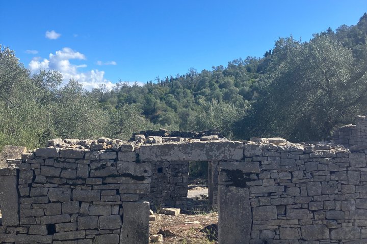 Olive Oil Tasting Under the Trees Paxos Island Greece