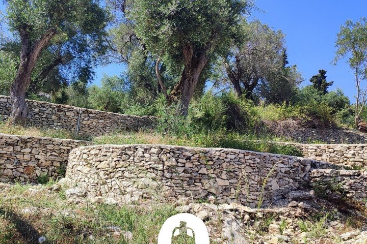 Olive Oil Tasting Under the Trees Paxos Island Greece
