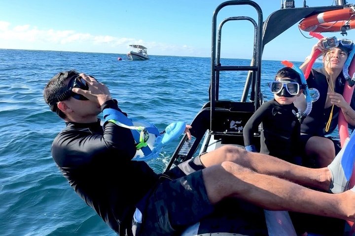 Swim With the Whales