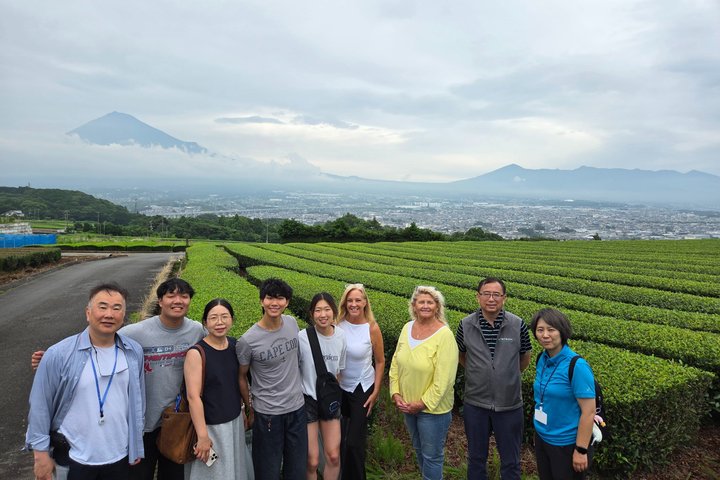 All-about Mt.Fuji Short Tour from Shimizu Port