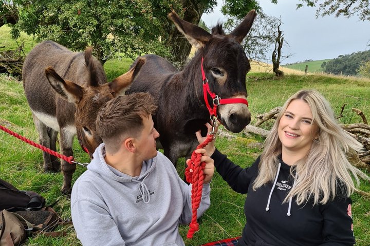 Scenic walks with mini donkeys in the beautiful Brecon Beacons