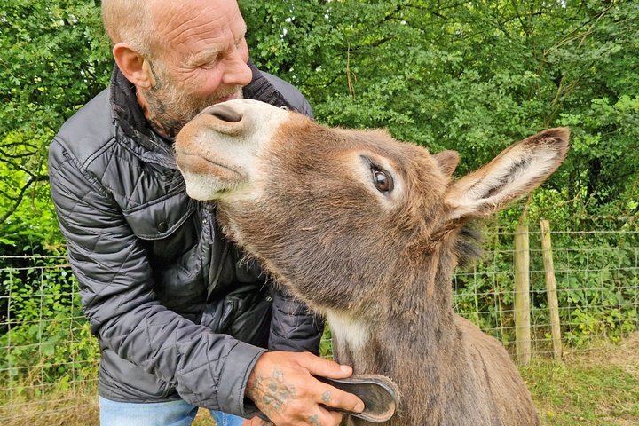 Scenic walks with mini donkeys in the beautiful Brecon Beacons