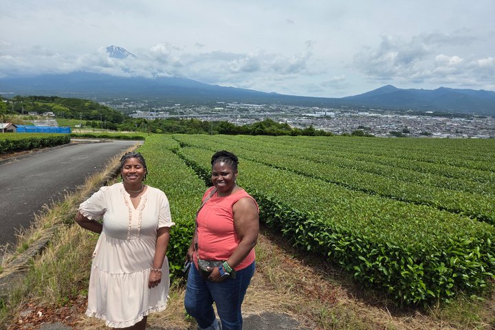 Short Tour to View Mt. Fuji from Various Angles from Shimizu Port