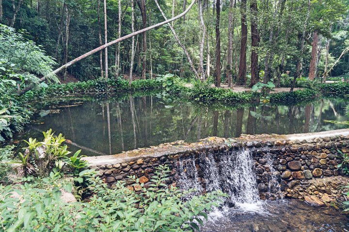 Rio: Tijuca Rainforest Hike, Wildlife, Waterfalls & Caves