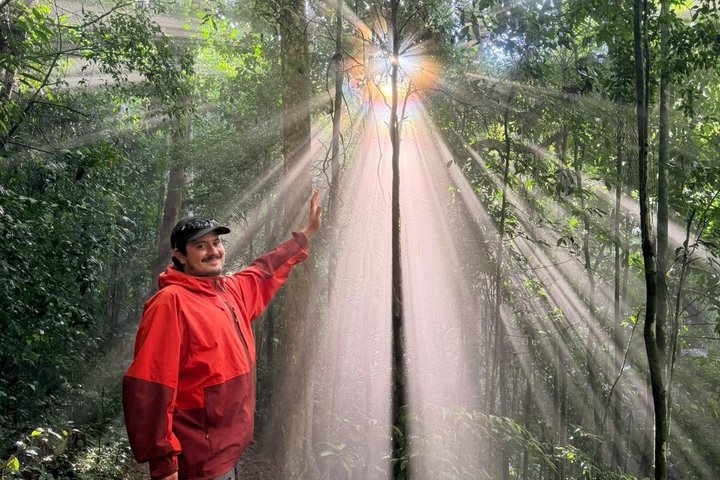 Rio: Tijuca Rainforest Hike, Wildlife, Waterfalls & Caves