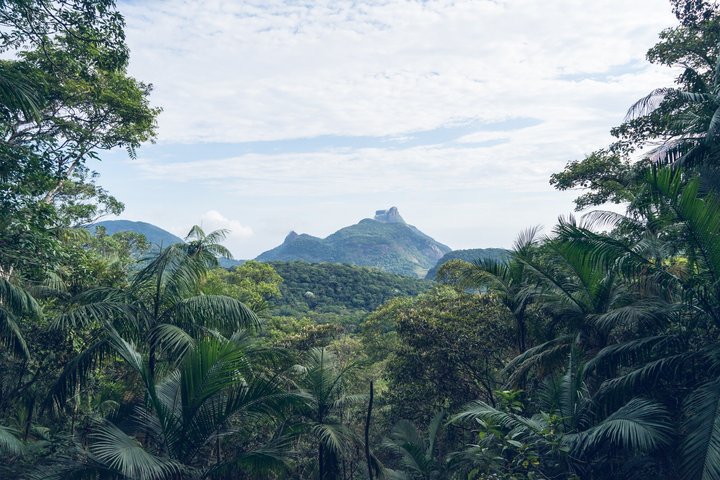 Rio: Tijuca Rainforest Hike, Wildlife, Waterfalls & Caves
