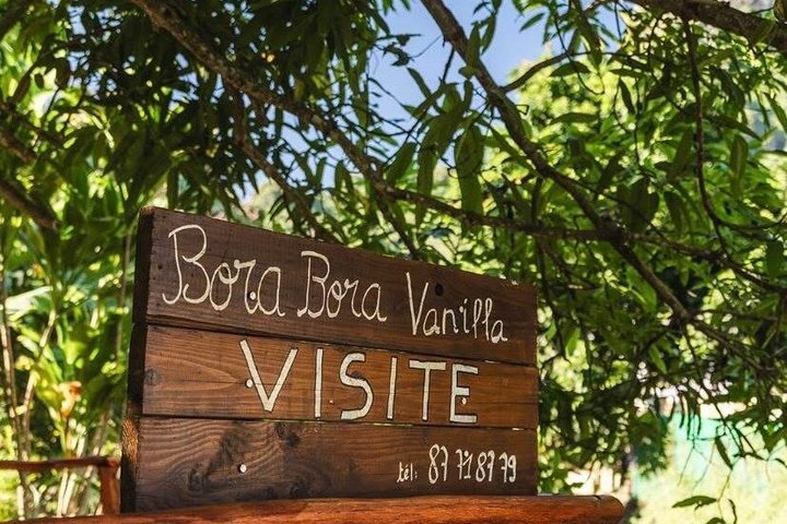 Full Day ATV Vanilla and Jet Ski Adventure with Polynesian BBQ