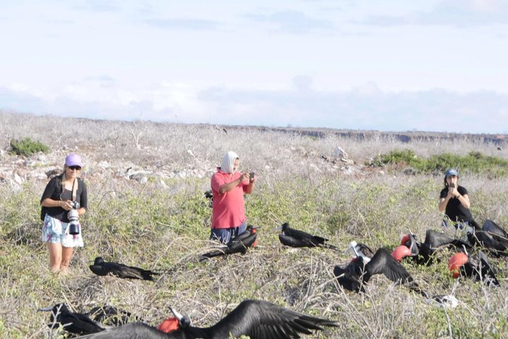 Day Land Tour to North Seymour Island in Galapagos