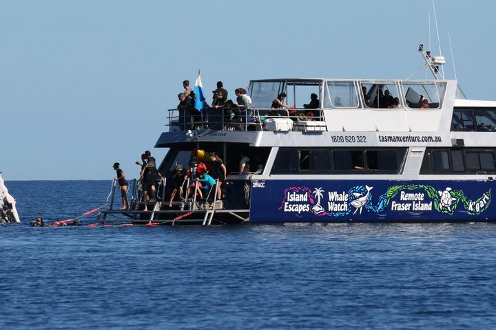 Remote K'gari (Fraser Island) & Whale Experience