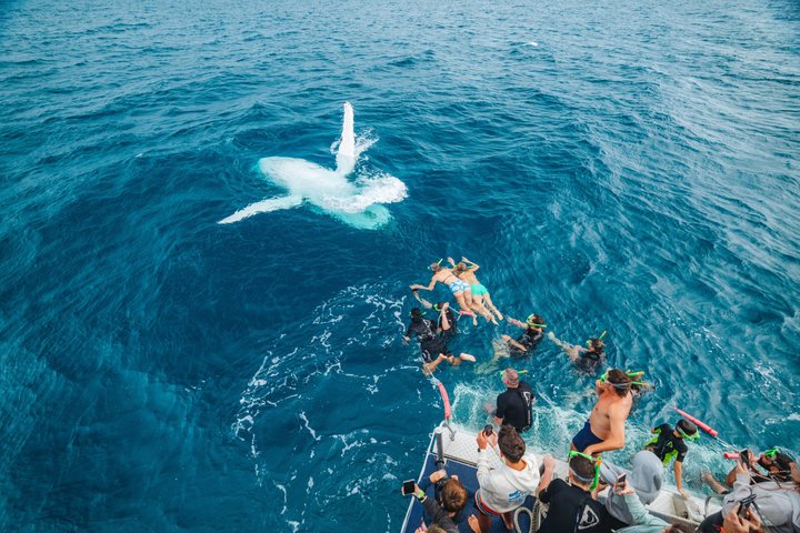 Remote K'gari (Fraser Island) & Whale Experience