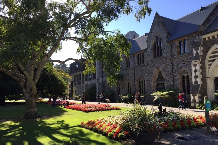 Tekapo to Christchurch Small-Group Tour (one-way)