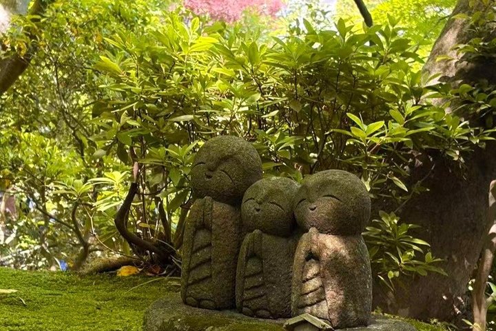 Kamakura & Enoshima 1-Day Bus Tour : From Tokyo