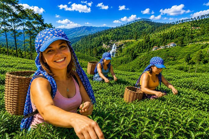 Nuwara Eilya Tea Plucking &Tasting waterfalls tours