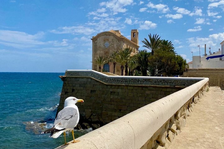 All-Inclusive Pink Lake & Tabarca Island Day Trip from Torrevieja