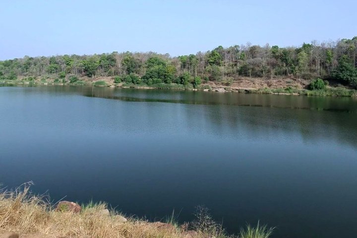 Pench Tiger Safari Tour 3 Days and 2 Nights from Nagpur