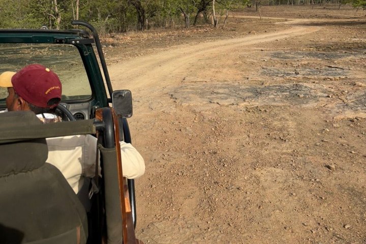 Pench Tiger Safari Tour 3 Days and 2 Nights from Nagpur