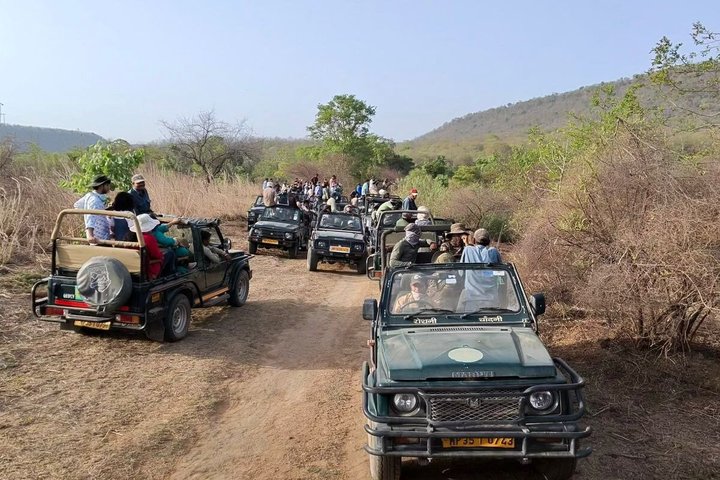 Pench Tiger Safari Tour 3 Days and 2 Nights from Nagpur