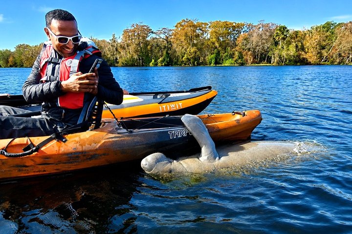Small Group Manatee Discovery Kayak Tour near Orlando
