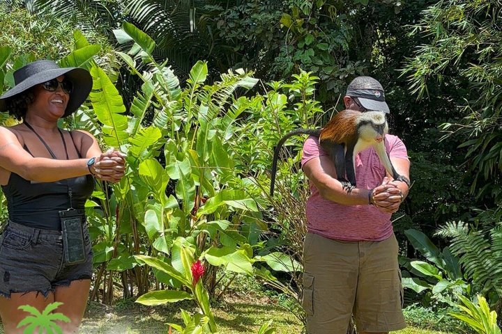 Grenada’s Best: Waterfalls, Chocolate, Rum and Rainforest Tour