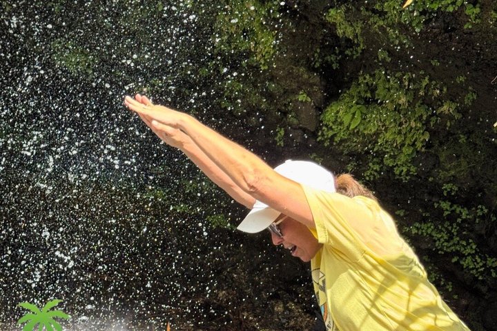 Grenada’s Best: Waterfalls, Chocolate, Rum and Rainforest Tour