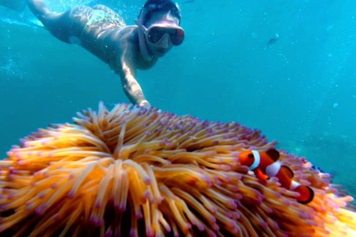 Tunku Abdul Rahman Marine Sapi and Manukan Snorkeling with Lunch