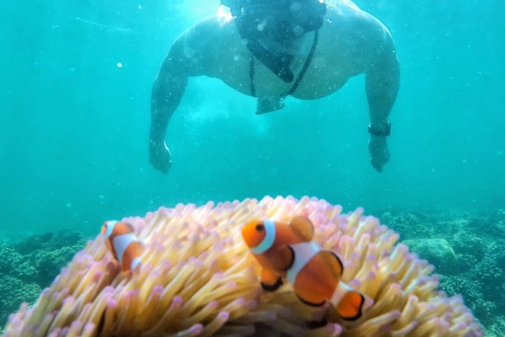 Tunku Abdul Rahman Marine Sapi and Manukan Snorkeling with Lunch
