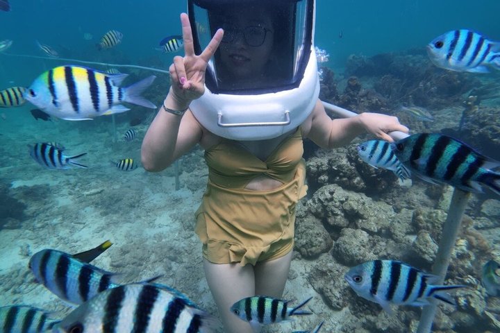 Tunku Abdul Rahman Marine Sapi and Manukan Snorkeling with Lunch