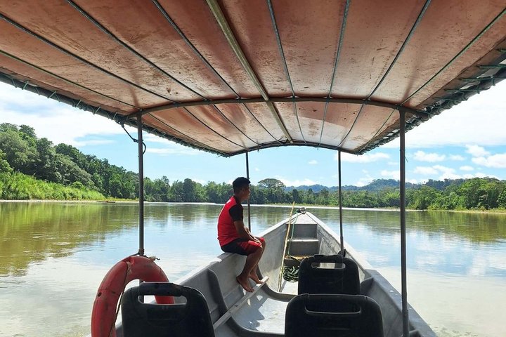 Grand Selva 3-Day Jungle Expedition Amazonia Ecuador rainforest