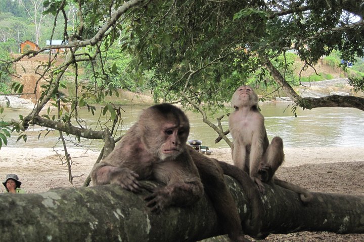 Grand Selva 4 Days Jungle Expedition Amazon Ecuador rainforest