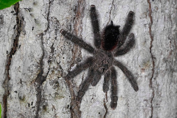Grand Selva 4 Days Jungle Expedition Amazon Ecuador rainforest