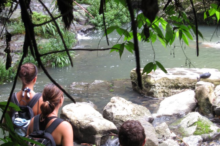 Grand Selva 4 Days Jungle Expedition Amazon Ecuador rainforest