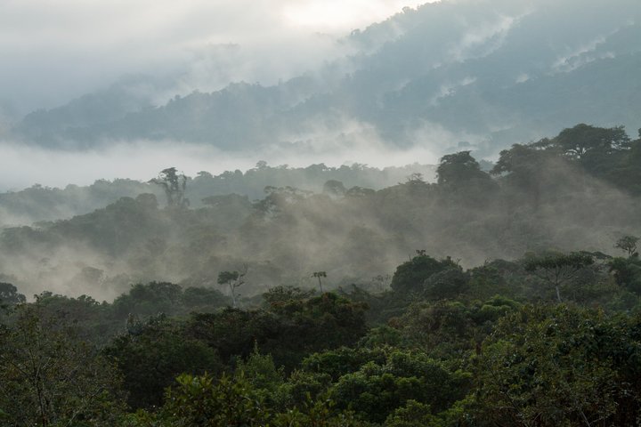 Grand Selva 4 Days Jungle Expedition Amazon Ecuador rainforest
