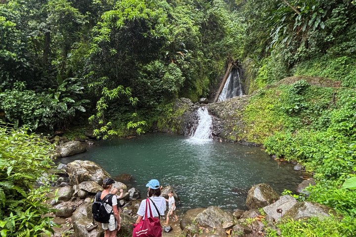 Grenada’s Best: Waterfalls, Chocolate, Rum and Rainforest Tour