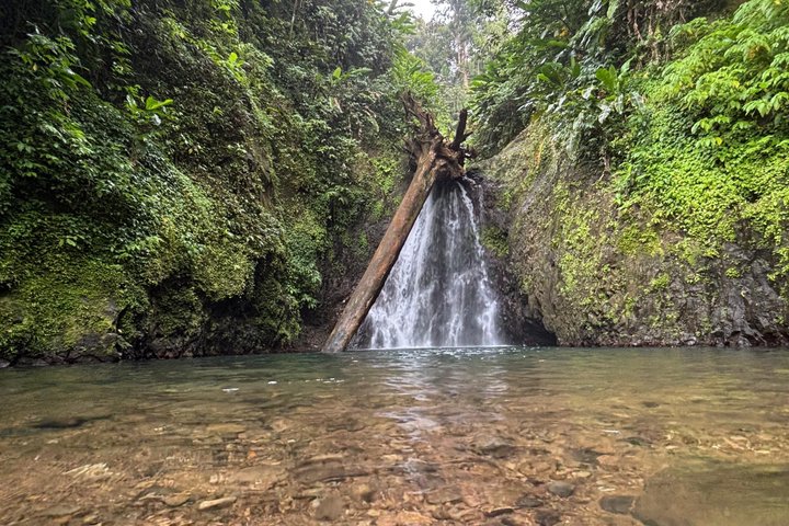Grenada’s Best: Waterfalls, Chocolate, Rum and Rainforest Tour