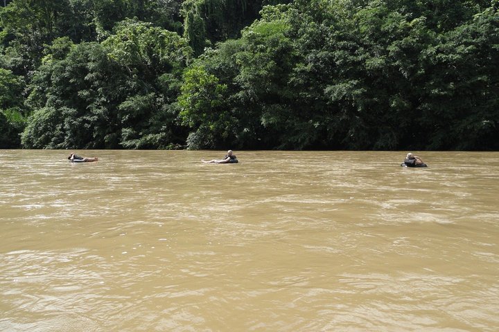 Grand Selva 3-Day Jungle Expedition Amazonia Ecuador rainforest