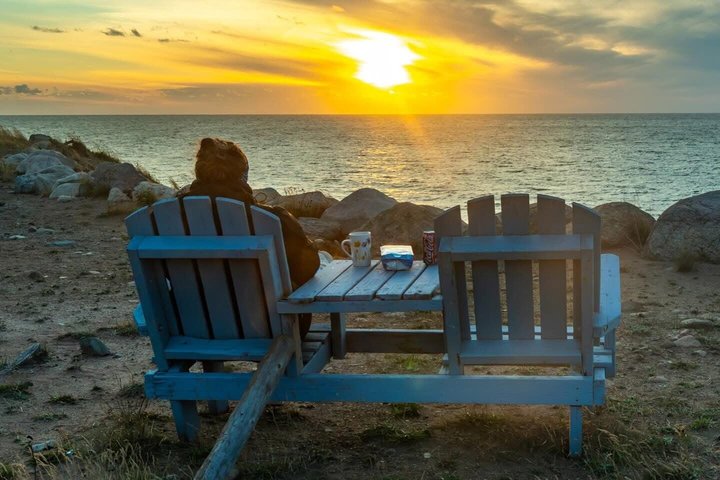 Cabot Trail Scenic Highlights Tour