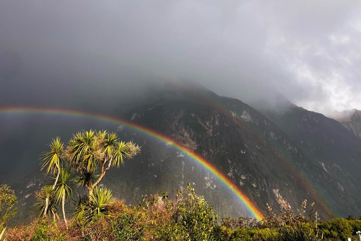 Premium Milford Sound Tour, Cruise & Lunch from Te Anau