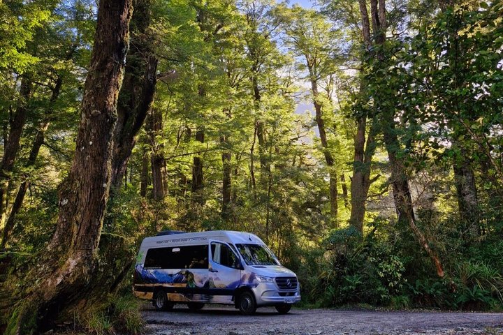 Premium Milford Sound Tour, Cruise & Lunch from Te Anau