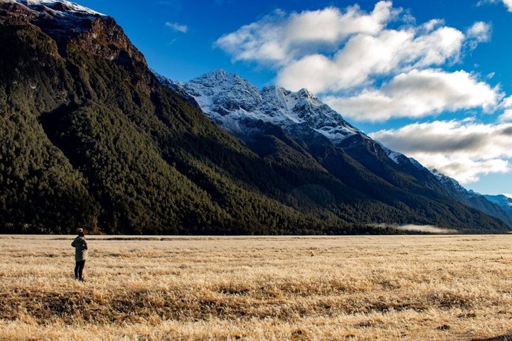 Premium Milford Sound Tour, Cruise & Lunch from Te Anau